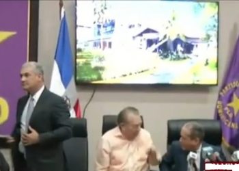 Mayoría CP PLD pide a Leonel Fernández permitir a sus seguidores debatir reforma constitucional dentro del congreso