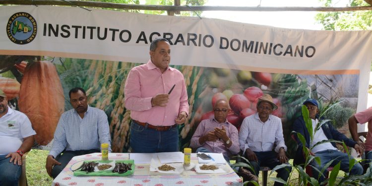 Con apoyo del gobierno inician siembra de cardamomo y vainilla en Yamasá