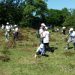 Medio Ambiente planta más de 1 millón 460 mil árboles en el “Mes de la Reforestación”