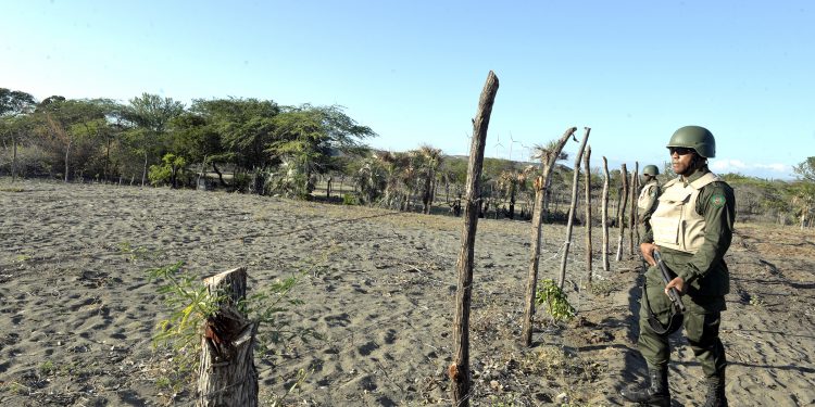 Medio Ambiente refuerza vigilancia en Las Dunas para contrarrestar ocupación de terrenos