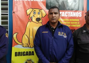 BPA desmiente vehículo haya herido personas producto de animales en las vías, en Puerto Plata, como publicara supuesto periodista