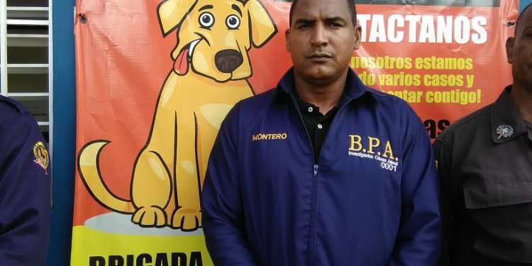BPA desmiente vehículo haya herido personas producto de animales en las vías, en Puerto Plata, como publicara supuesto periodista