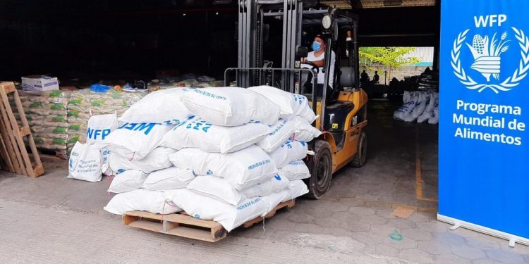 PMA abrirá en RD corredor humanitario para asistencia alimentaria en Haití