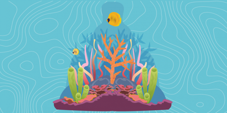Inicia Proyecto de Cooperación Triangular RD, Costa Rica y Honduras para conservación y restauración arrecifes de coral