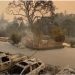 Decenas de miles de evacuados por incendios en zona de viñedos de California