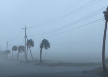El tifón Haishen golpea Japón con vientos violentos y fuertes lluvias