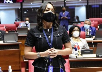 Senadora Faride Raful plantea discutir proyecto de Presupuesto  con la socieda