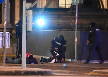 Atentados dejan dos muertos y 15  heridos en  Viena