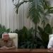 Cuba unificará sus dos monedas a partir del 1 de enero de 2021