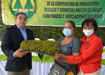 FEDA impulsa agricultura familiar, anuncia concurso mejores huertos agrícolas domésticos