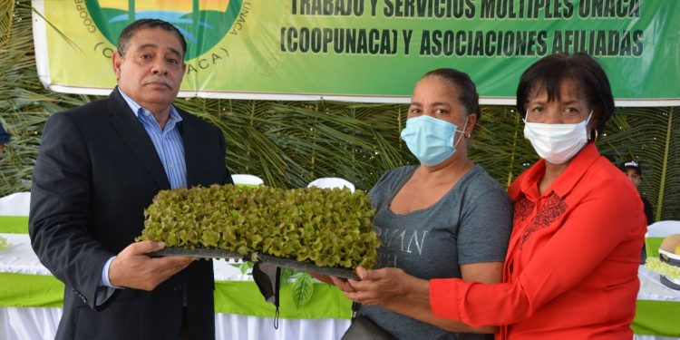 FEDA impulsa agricultura familiar, anuncia concurso mejores huertos agrícolas domésticos
