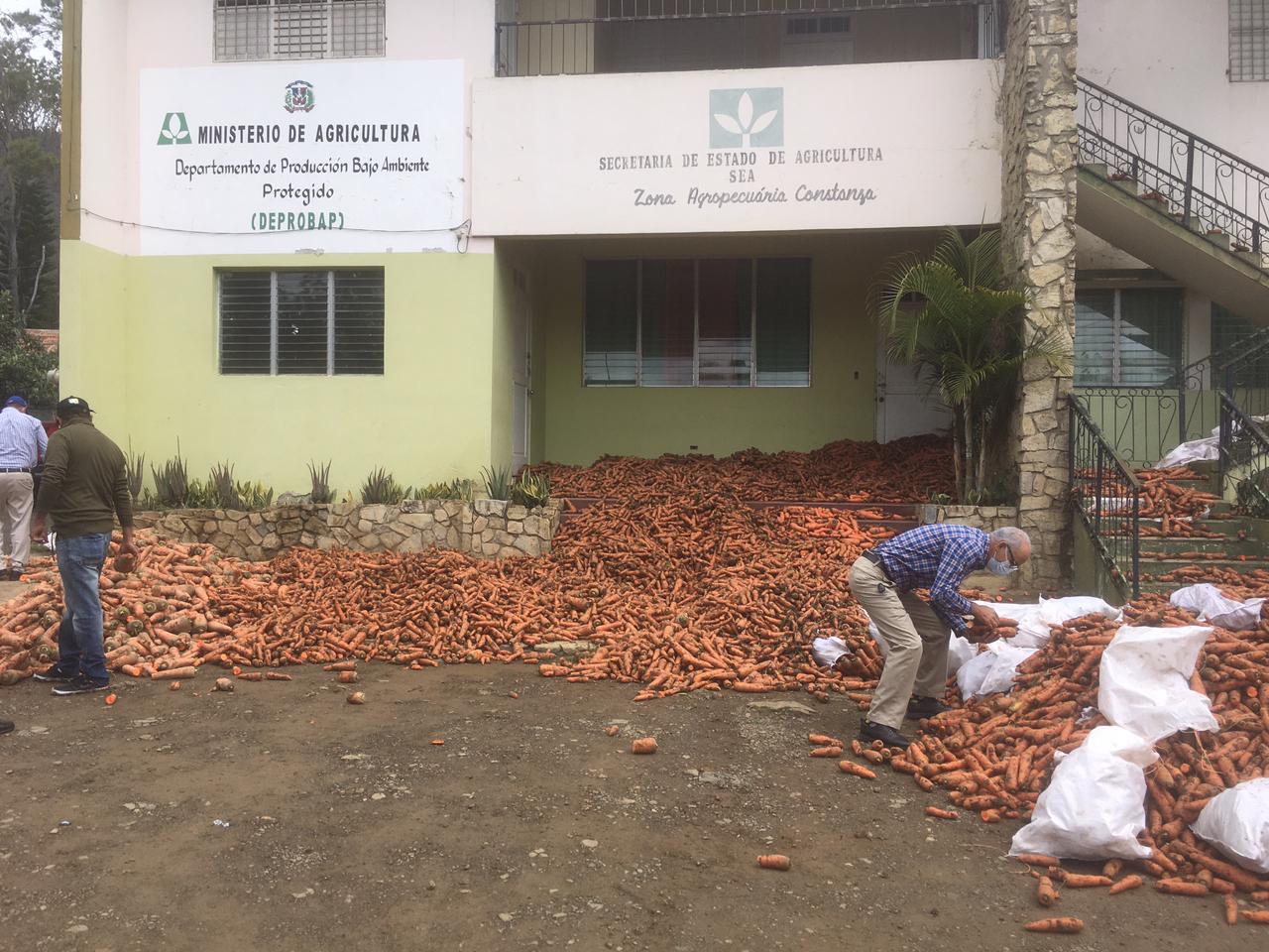 Productores Constanza denuncian perdidas por más de RD$ 380 millones por masiva importación de  Agricultura