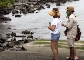 Galápagos, a salvo del covid pero con el turismo y la ciencia en pausa