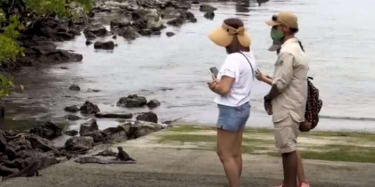 Galápagos, a salvo del covid pero con el turismo y la ciencia en pausa