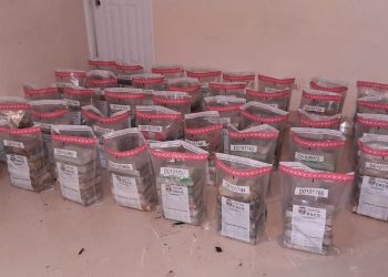 Armada y DNCD decomisan 232 paquetes cocaína próximo costa de El Seibo