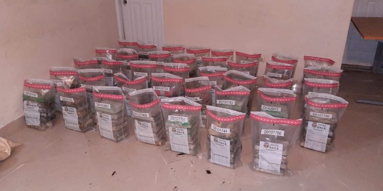 Armada y DNCD decomisan 232 paquetes cocaína próximo costa de El Seibo