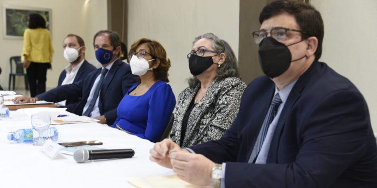 Presentan campaña de promoción a miel de abeja “Colmena Dominicana”