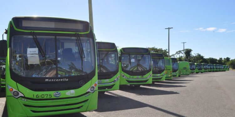 Autobuses OMSA circularán este fin de semana hasta las 6:00 de la tarde