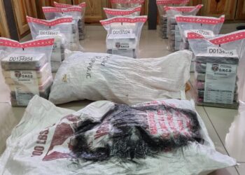 DNCD ocupa 66 paquetes cocaína en finca de Samaná