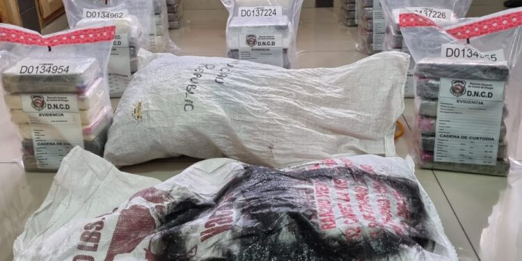 DNCD ocupa 66 paquetes cocaína en finca de Samaná