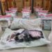 DNCD ocupa 66 paquetes cocaína en finca de Samaná