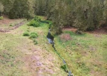 Medio Ambiente emite resolución prohíbe permanentemente actividades agrícolas y ganaderas Parque Nacional Valle Nuevo