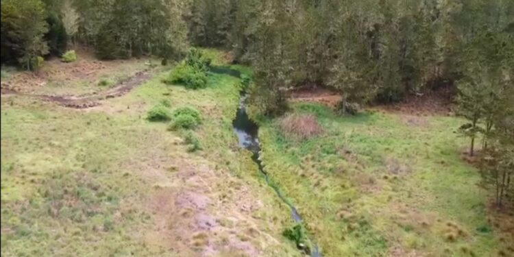 Medio Ambiente emite resolución prohíbe permanentemente actividades agrícolas y ganaderas Parque Nacional Valle Nuevo
