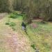 Medio Ambiente emite resolución prohíbe permanentemente actividades agrícolas y ganaderas Parque Nacional Valle Nuevo