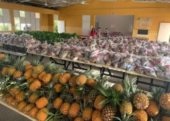 INABIE llama a suplidores seguir cumpliendo con calidad de alimentos