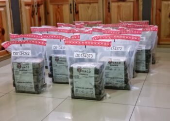 DNCD y Armada ocupan 90 paquetes presumiblemente  cocaína en San Pedro Macorís