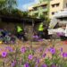 Ayuntamiento Santo Domingo Este rescinde contrato con empresa y asume recogida de basura en circunscripción 3