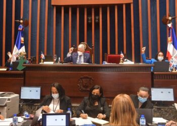 Senado aprueba proyecto modifica Presupuesto General del Estado  2021