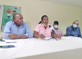 Organizaciones sociales  haitianas agradecen ayuda humanitaria de RD