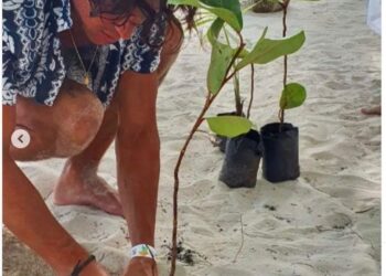 Actor Mario Casas participa en jornada plantación de mangle