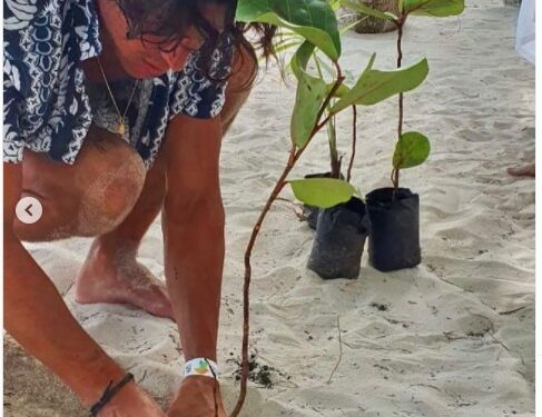 Actor Mario Casas participa en jornada plantación de mangle