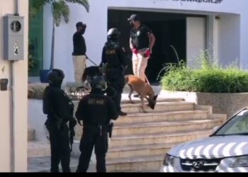 Procuraduría y DNCD realizan unos 80 allanamientos en varias provincias  bajo “Operación Falcón”