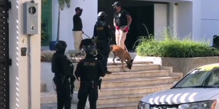 Procuraduría y DNCD realizan unos 80 allanamientos en varias provincias  bajo “Operación Falcón”