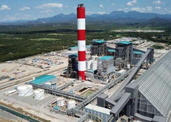 Presidente Abinader crea mediante decreto fideicomiso para administrar termoeléctrica Punta Catalina