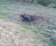Encuentran cuerpo calcinado en Gurabo Santiago, aún sin identificar