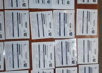 Detienen una mujer y le ocupan 26 tarjetas de vacunación falsificadas