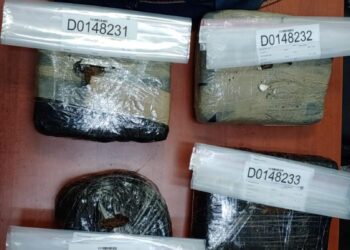 Apresan 7 en Santiago le ocupan Drogas y armas  