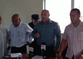 Comerciantes niegan haya cebolla en abundancia en campos del país