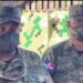 Jefe del Ejército realiza recorrido por franja fronteriza