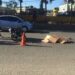 Autobus atropella hombre en kilómetro 17 Autopista Duarte