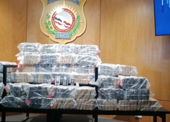 Incautan 330 paquetes presumiblemente cocaína en costas de Azua  