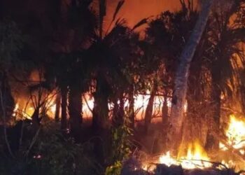 Está controlado incendio forestal en Cap Cana según autoridades