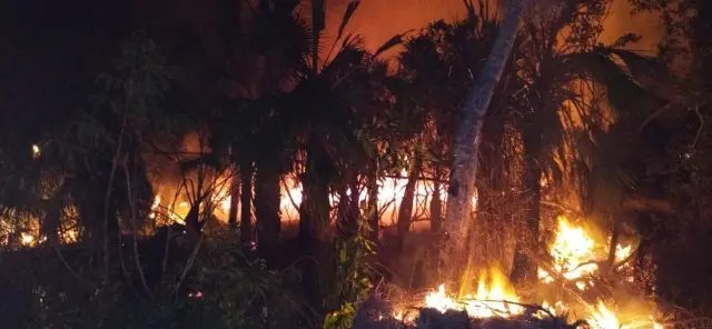 Está controlado incendio forestal en Cap Cana según autoridades