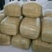 Decomisan 775 libras de marihuana