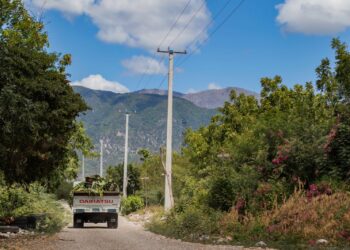 Edesur interconecta más de 300 exportadores de banano orgánico en Azua, llevaban 20 años usando plantas eléctricas