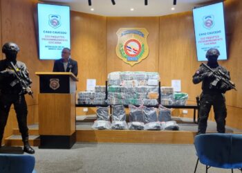 DNCD incaura 233 paquetes presumiblemente cocaína en el Puerto multimodal Caucedo
